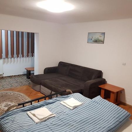 La Zoli - Apartament 1 Cam, Zona Freidorf Cu Parcare Publica Apartman Temesvár Kültér fotó